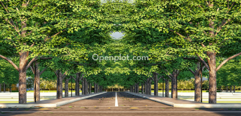 Plot for Sale in Nandikandi,Sangareddy